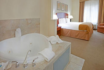 Holiday Inn Express Hotel & Suites Dallas - Grand Prairie I-20