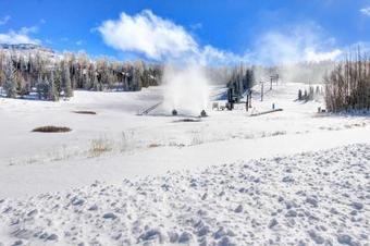 Snow Shoe 5a