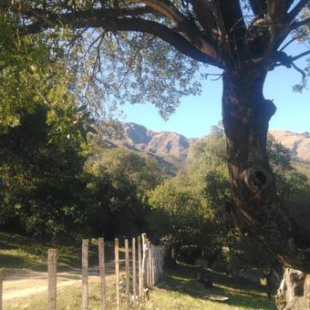 Ver fotos