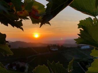 C� 'd Langa B&B