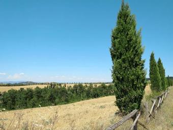 Locazione Turistica Casa Ingrid (msi140)