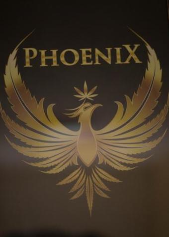 Apartments Phoenix