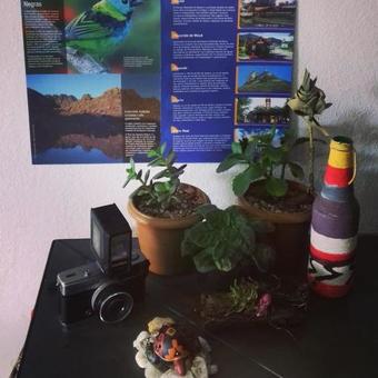Hostel Resende