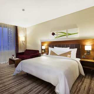 Hotel Hilton Garden Inn Konya (.)