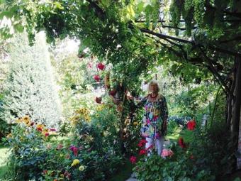 Ver fotos
