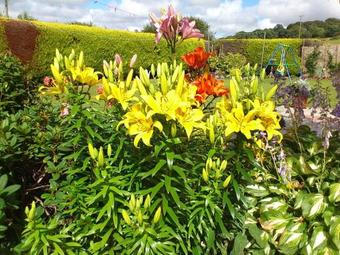 Rosville House B&B