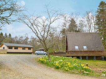 Squirrel Lodge