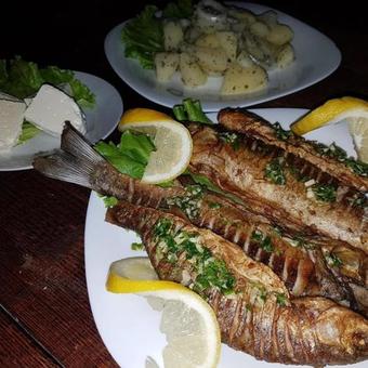 Hostal Blini-park Guesthouse