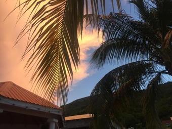 Fern Tree Bed And Breakfast