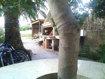 Ver fotos