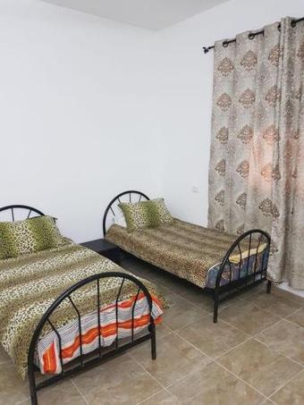 Holy Tree Hostel