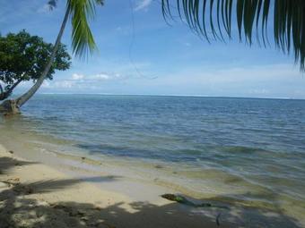 Justmoorea Location Haapiti