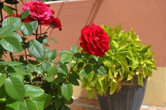 Bed & Breakfast Seelo Guest Accommodation
