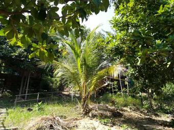 Albergue Wonderland