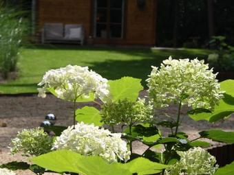 Groenweelde