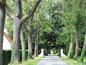 Bed & Breakfast Hof Van Lier