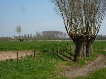 B&B De Meetjes