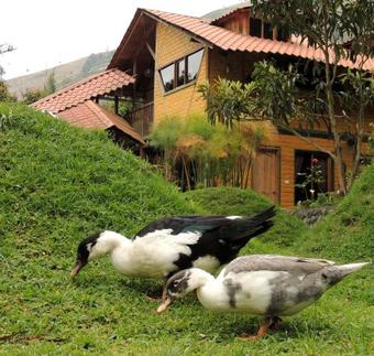 Hotel La Casta