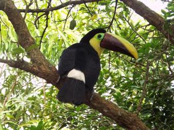 Finca Agroecol�gica Happy Fruit