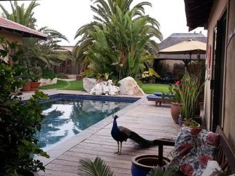 Hostal Gecko Ridge Guesthouse