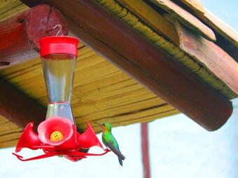 Hostal Jard�n Colibr�