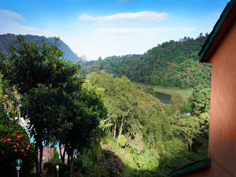 Hotel Forest