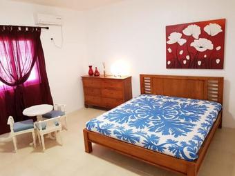 Plumeria Garden
