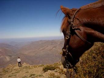 Hacienda Los Andes