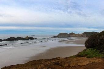 Alsea Sands