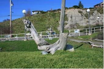 Hotel Tides Inn