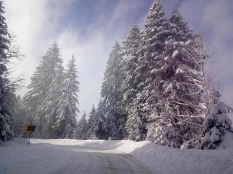 Vikendica Beli Bor