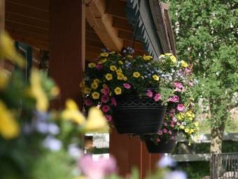 Posada Ouray Inn