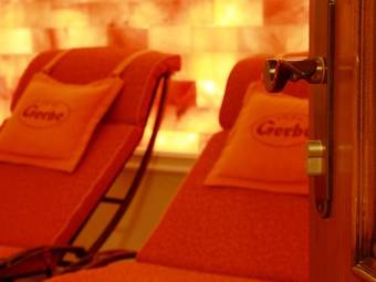 Hotel Gerbe