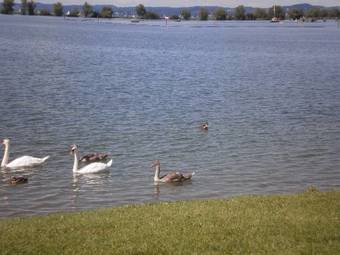 Hotel Am See
