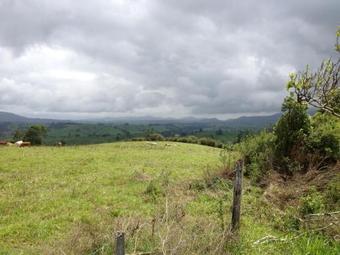 Milaviews