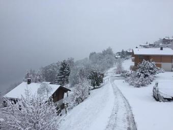 Panoramachalet