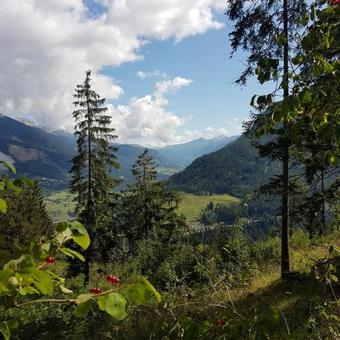 Posada Alpina