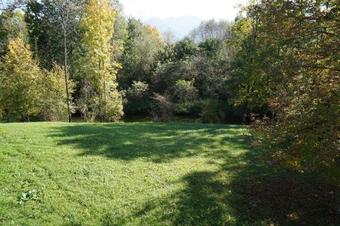 Apartamento Ferienwohnungen Bachblick