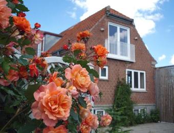 Hotel Lolland