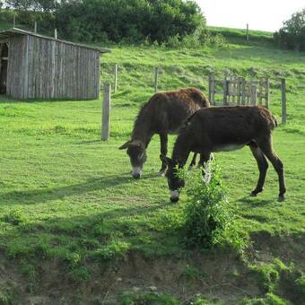 Bed & Breakfast Ferme De Bellevue