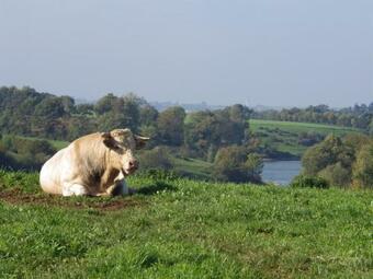 Bed & Breakfast A La Haute Bouillere