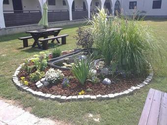 Ver fotos