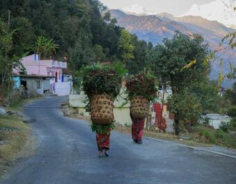 Kedar Camp Resorts
