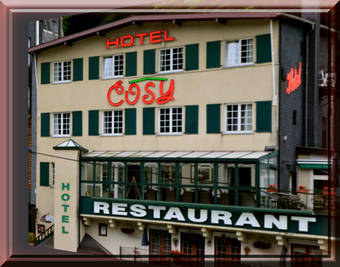 Hotel Cosy