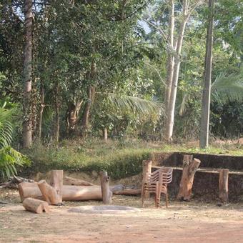 Dandeli - Jungle Nest