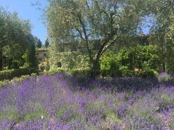 Pieve Santo Stefano Villa Sleeps 10 Wifi