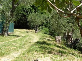 Warm Holiday Home In Vicopisano With Swimming Pool