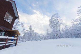 Wasabi Cabin