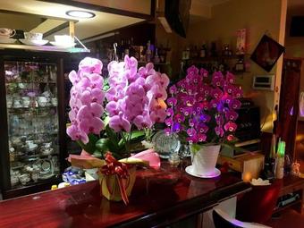 Hostal Miyako