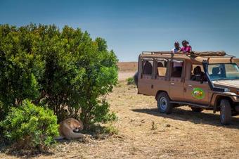 Lodge Mara Leisure Camp